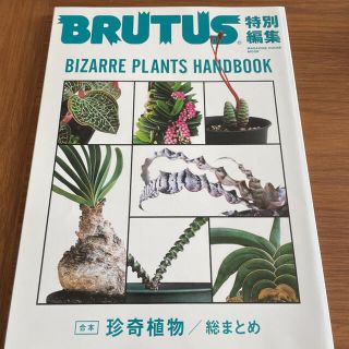 マガジンハウス(マガジンハウス)のBRUTUS 合本珍奇植物 珍奇植物 総まとめ ブルータス(アート/エンタメ/ホビー)