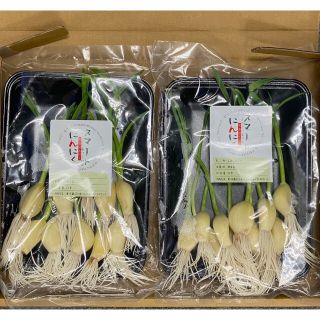 ニンニク　発芽にんにく　にんにく　スマートにんにく 20本(野菜)