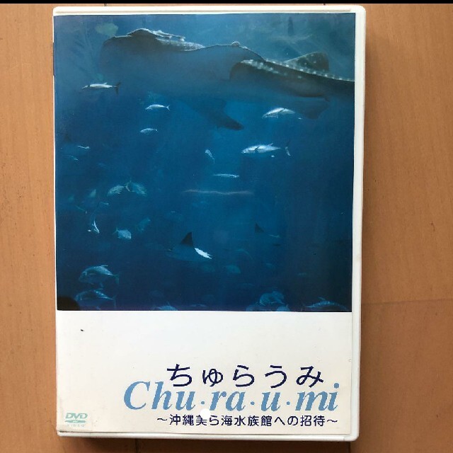 ちゅらうみ　美ら海水族館への招待　DVD エンタメ/ホビーのDVD/ブルーレイ(キッズ/ファミリー)の商品写真