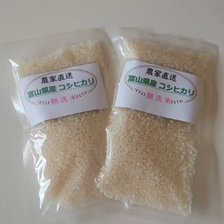 令和２年産 富山県産コシヒカリ 無洗米(米/穀物)