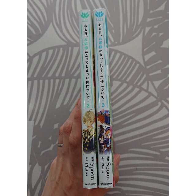 角川書店(カドカワショテン)のある日、お姫様になってしまった件について 2、3巻 エンタメ/ホビーの漫画(青年漫画)の商品写真