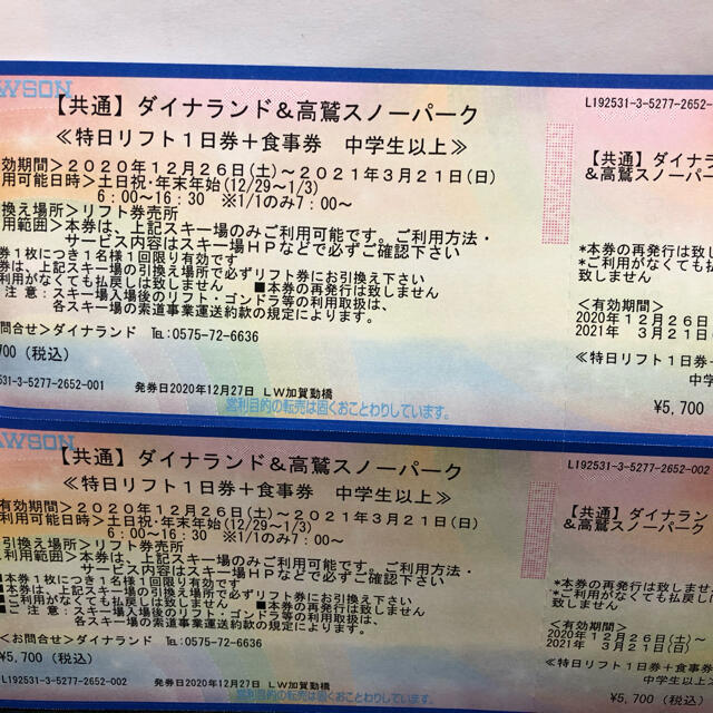 ダイナランド、高鷲スノーパークの共通リフト券2枚(特日限定)千円分食事券付き