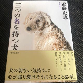 三つの名を持つ犬 新装版(文学/小説)