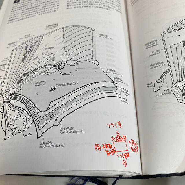 イラストレイテッド外科手術　コンパクト版 膜の解剖からみた術式のポイント 第３版 エンタメ/ホビーの本(健康/医学)の商品写真