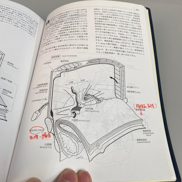 イラストレイテッド外科手術　コンパクト版 膜の解剖からみた術式のポイント 第３版 エンタメ/ホビーの本(健康/医学)の商品写真
