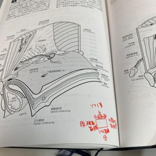 イラストレイテッド外科手術 膜の解剖からみた術式のポイント 縮刷版 第３版