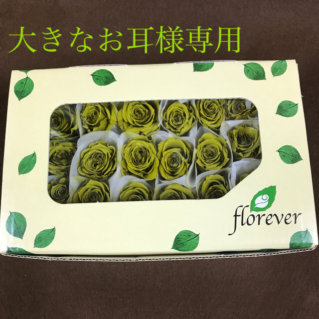 輝く高品質な シトロン様専用 casadedavid.org.br