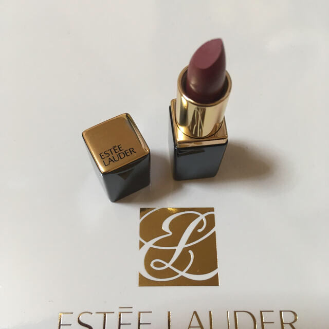 Estee Lauder(エスティローダー)のエスティローダー　ノベルティポーチ　ミニリップスティック レディースのファッション小物(ポーチ)の商品写真