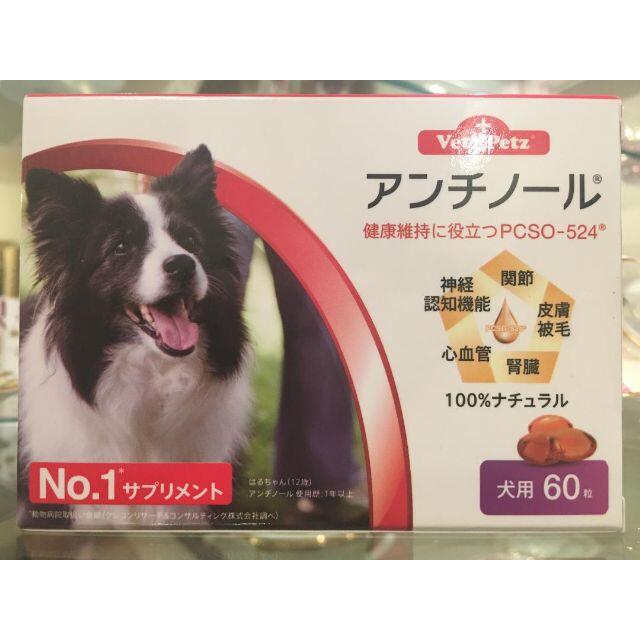 お買い得　犬　サプリメント　アンチノール　２月５日大安入荷超新鮮　品切れ必至