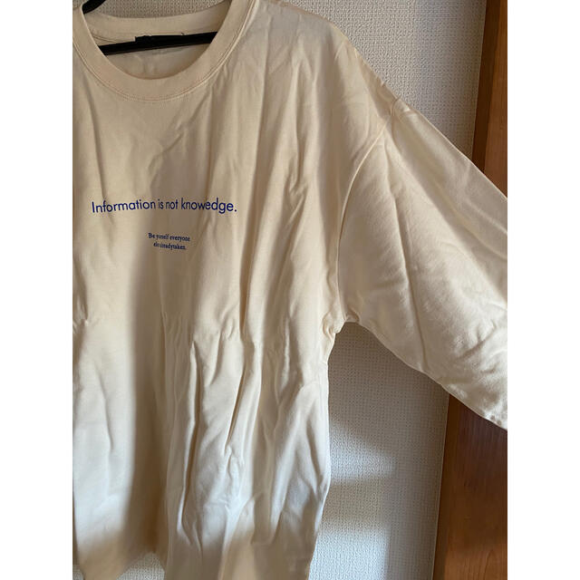 Kastane(カスタネ)のkastane ビックTシャツ レディースのトップス(Tシャツ(長袖/七分))の商品写真