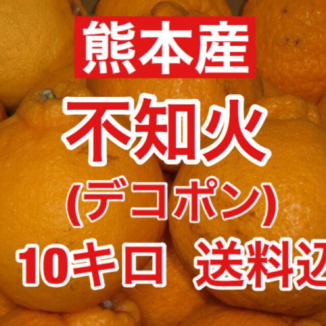 ②熊本産 不知火（デコポン）訳あり約10キロ 送料込み 食品/飲料/酒の食品(フルーツ)の商品写真