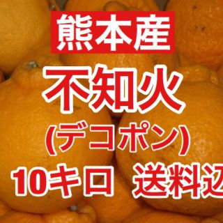 ②熊本産 不知火（デコポン）訳あり約10キロ 送料込み(フルーツ)