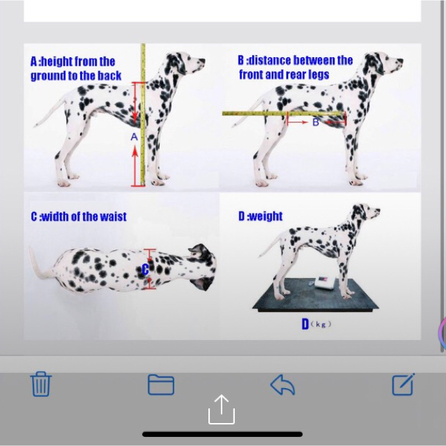 人気no 1 本体 犬用車椅子 驚きの値段 Bestcollege Co Za 人気no 1 本体 犬用車椅子 驚きの値段 Bestcollege Co Za
