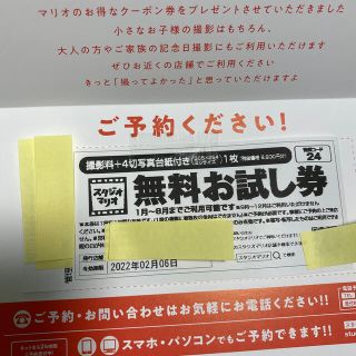 キタムラ(Kitamura)のスタジオマリオ　無料お試し券(その他)