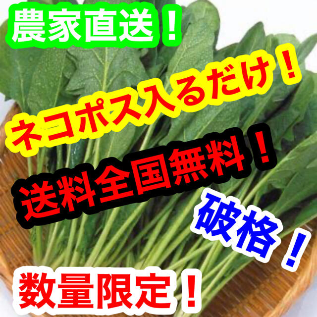 破格！最終値下げ！数量限定！農家直送ほうれん草ネコポス入るだけ！ 食品/飲料/酒の食品(野菜)の商品写真