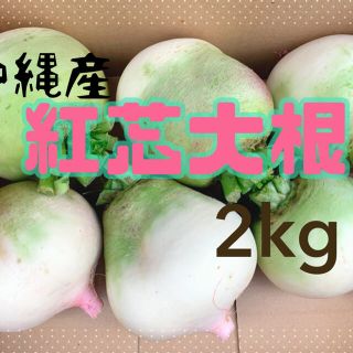 可愛いピンク色の大根(^^)紅芯大根2kg!(野菜)