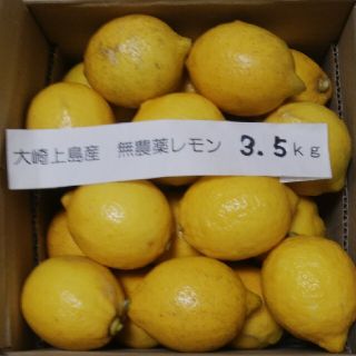 広島県大崎上島無農薬レモン　3.5kg(フルーツ)