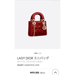 クリスチャンディオール(Christian Dior)のディオール　レディディオール　カナージュ   ミニ　赤　レッド(ハンドバッグ)