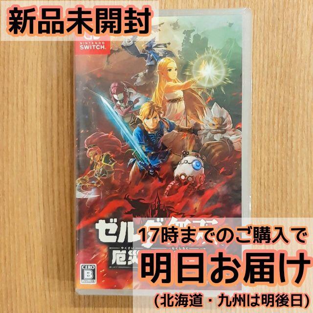 Switch ゼルダ無双 厄災の黙示録