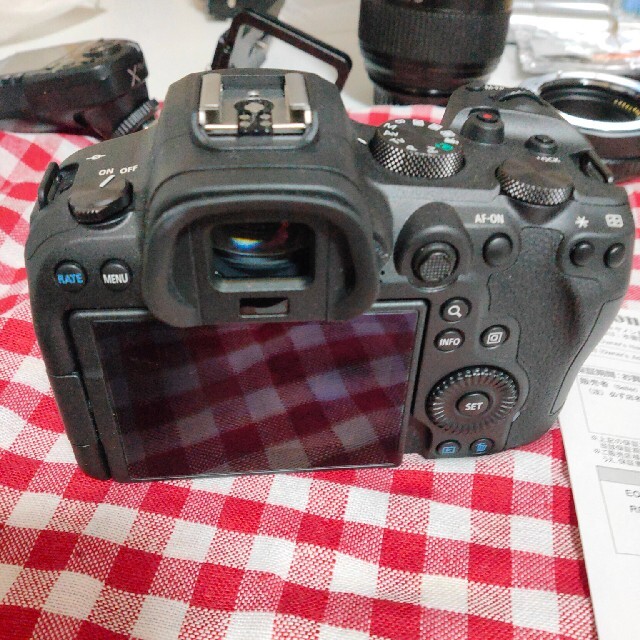 Canon EOS R6　ボディ