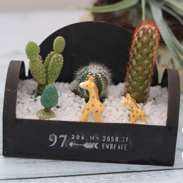 お家時間を楽しく ミニサボテン ほっこりキリンの親子の通販 By Ranan Shop ラクマ お家時間を楽しく ミニサボテン ほっこりキリンの親子の通販 By Ranan Shop ラクマ