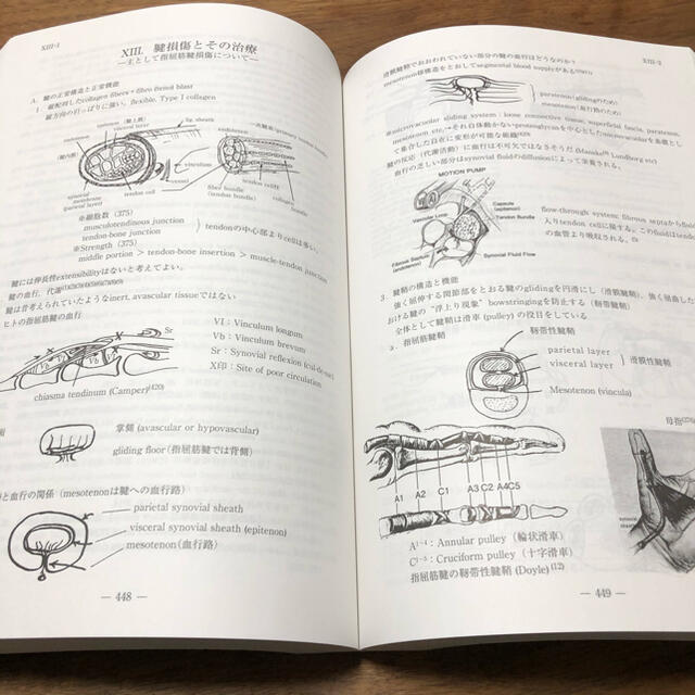 日本初の 【ラスト1冊】新潟手の外科セミナー・テキスト 第34回 | www 日本初の 【ラスト1冊】新潟手の外科セミナー・テキスト 第34回 | www