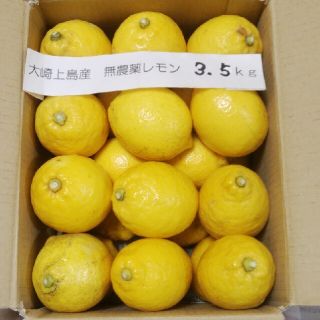 広島県大崎上島無農薬レモン　3.5kg(フルーツ)