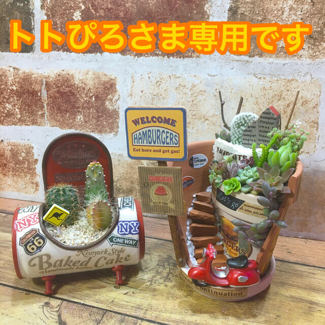多肉植物の寄せ植え　カフェ(beige)☆☆☆ちびジュース缶(赤ベージュ) ハンドメイドのフラワー/ガーデン(その他)の商品写真