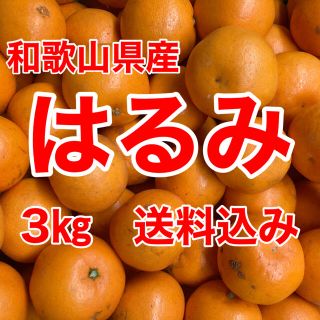 はるみオレンジ🍊3㎏箱に満杯🍊送料込み(フルーツ)