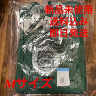 ナイキ(NIKE)のナイキ ストゥーシー ロンT グリーン US Mサイズ 新品未使用 送料込み(Tシャツ/カットソー(七分/長袖))