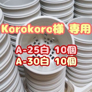 プラ鉢2.5号【A-25】10個 他 スリット鉢 丸 プレステラ 多肉植物(プランター)