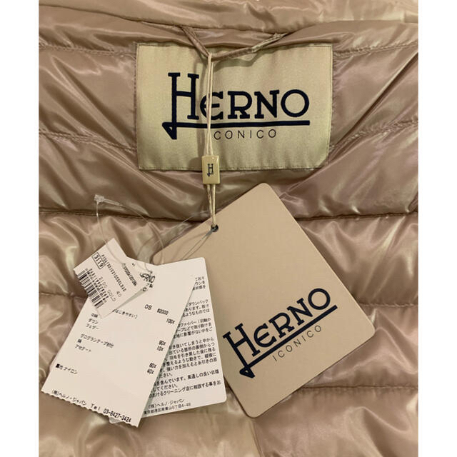 HERNO(ヘルノ)のHERNO 完全未着用　スプリングダウン　 レディースのジャケット/アウター(ダウンコート)の商品写真