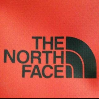 ザノースフェイス(THE NORTH FACE)の希少カラー ザ ノースフェイス ポーチ(ボディバッグ/ウエストポーチ)