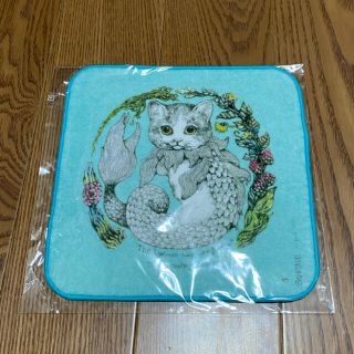 ヒグチユウコ 今治タオル こねことうみねこ 3scene(タオル/バス用品)