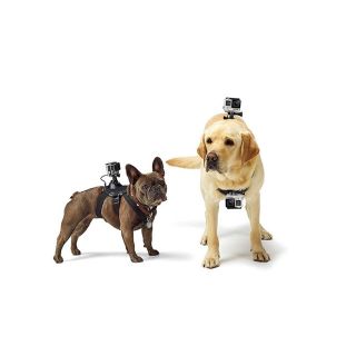 ゴープロ(GoPro)の犬用アクションカメラマウント(ビデオカメラ)