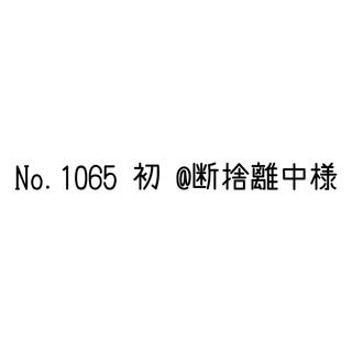 【 No.1065・初 】断捨離中様　専用ページ(スクールシューズ/上履き)