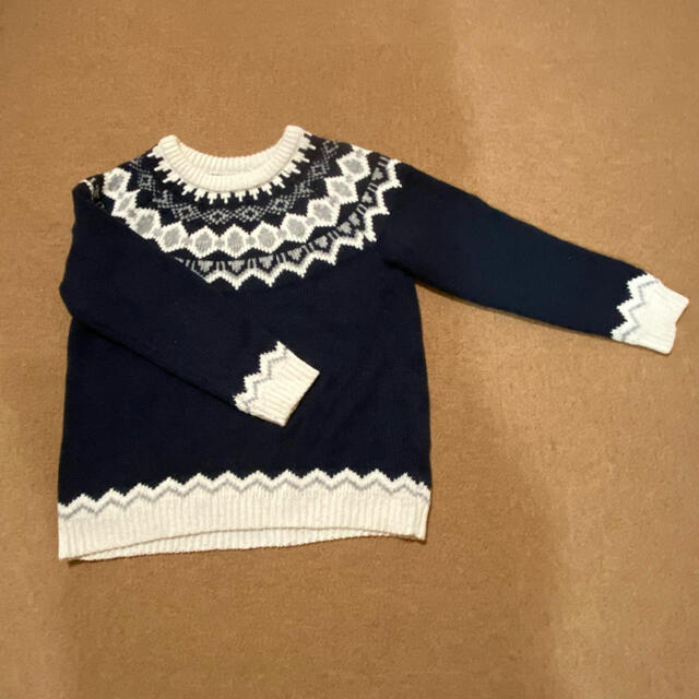 earth music & ecology(アースミュージックアンドエコロジー)の美品 Fサイズ earth music&ecology knit ニット レディースのトップス(ニット/セーター)の商品写真