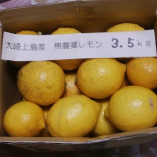 広島県大崎上島無農薬レモン　3.5kg(フルーツ)