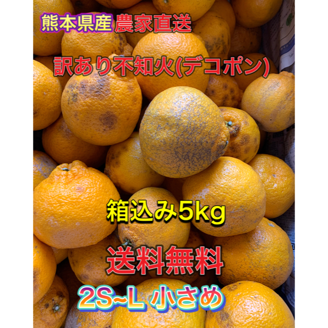 農家直送　減農薬 訳あり不知火(デコポン)5kg  食品/飲料/酒の食品(フルーツ)の商品写真