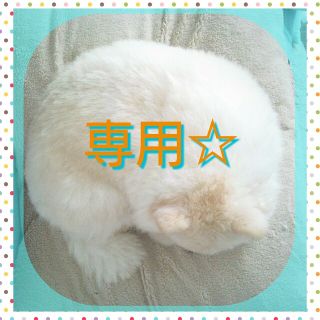 みいたむ✬様専用✨Thank you✨ピンク値札☆ほっぺちゃん４体☆折り紙セット(店舗用品)