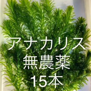 71ページ目 ペーパーの通販 6 000点以上 その他 お得な新品 中古 未使用品のフリマならラクマ 71ページ目 ペーパーの通販 6 000点以上 その他 お得な新品 中古 未使用品のフリマならラクマ