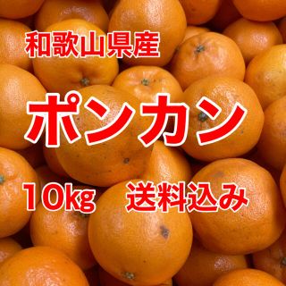 ポンカン　小玉　10㎏箱に満杯　送料込み(フルーツ)