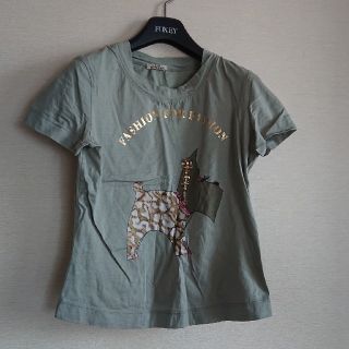 アンナモリナーリ(ANNA MOLINARI)のアンナモリナ―リ Tシャツ 38(Tシャツ(半袖/袖なし))