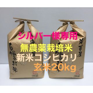 シルバー様専用 無農薬コシヒカリ玄米20kg(5kg×4)令和2年 徳島県産(米/穀物)