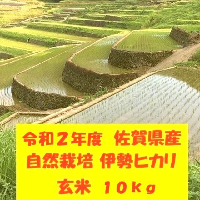 100%新品限定SALEいちご様用！令和２年度！佐賀県産！自然栽培！「伊勢ヒカリ」玄米10kgの通販　by　鶴ノ原北川農園｜ラクマ米/穀物