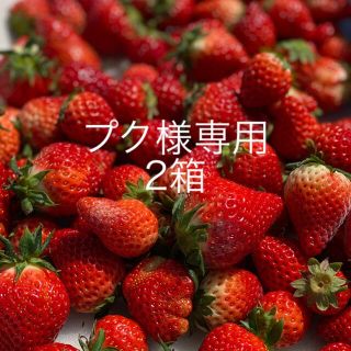 プク様専用いちごさん規格外2kg(フルーツ)