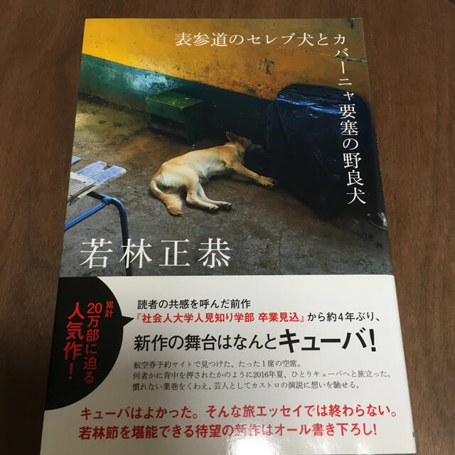 表参道のセレブ犬とカバーニャ要塞の野良犬 エンタメ/ホビーの本(その他)の商品写真