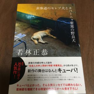 表参道のセレブ犬とカバーニャ要塞の野良犬(その他)