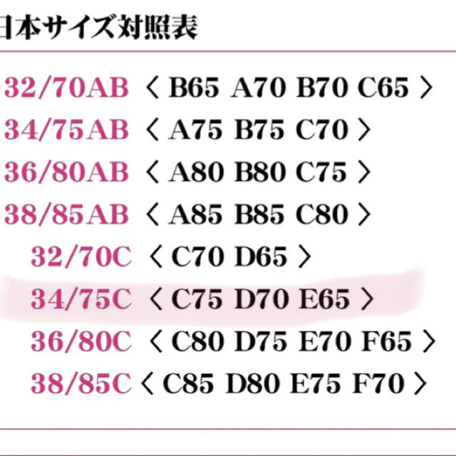 新品  下着 上下セット 盛ブラ  C75 D70 E65 レディースの下着/アンダーウェア(ブラ&ショーツセット)の商品写真