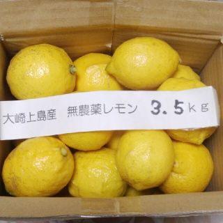 広島県大崎上島無農薬レモン　3.5kg(フルーツ)